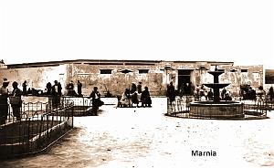 Marnia 303